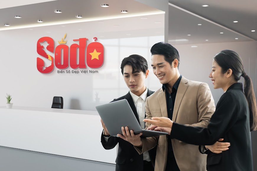 lĩnh vực hoạt động